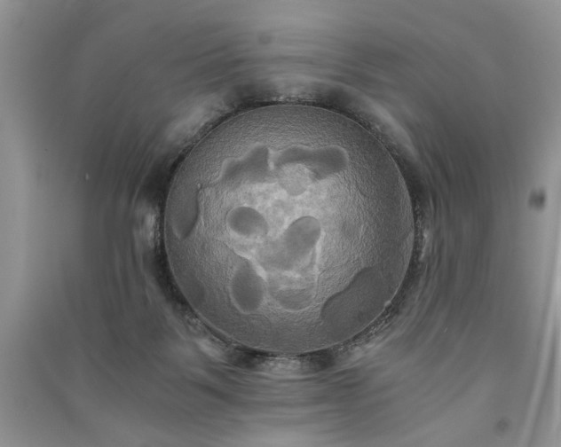 X0000091080123200708131306