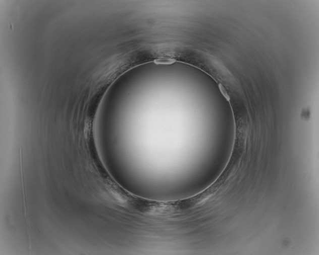 X0000091080125200708131306