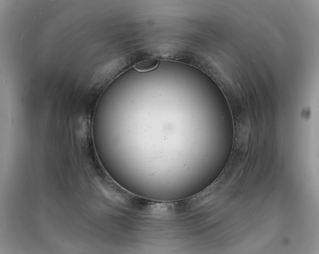 X0000091080126200708131306