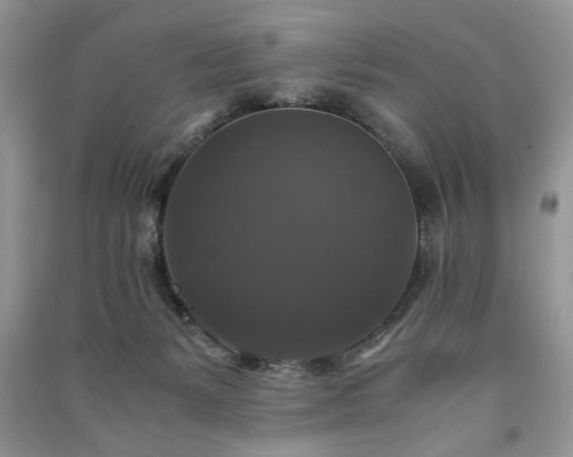 X0000091080127200708131306