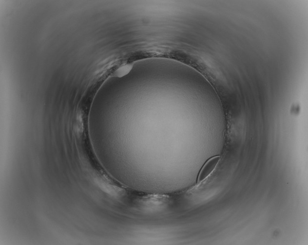 X0000091080128200708131306