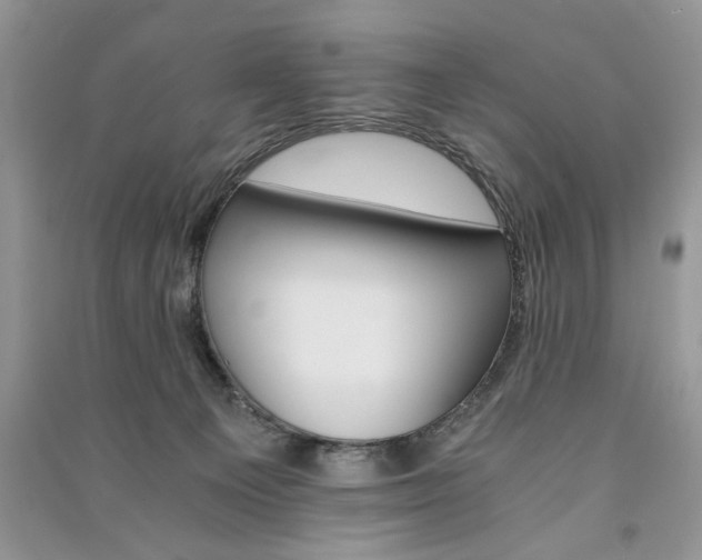 X0000091080129200708131306