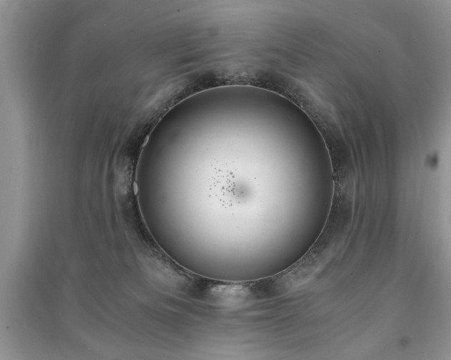 X0000091080133200708131306