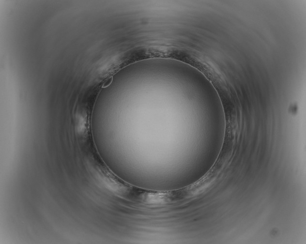 X0000091080134200708131306