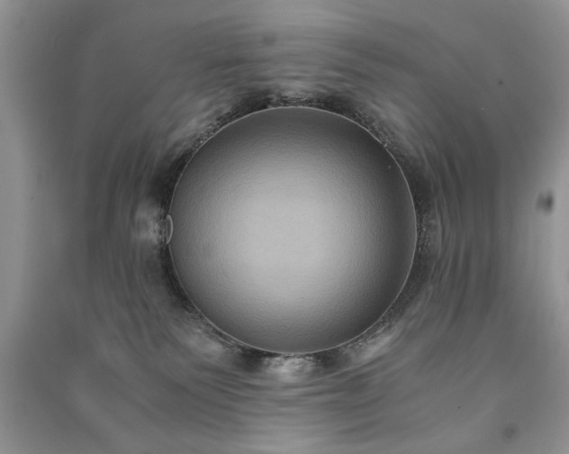 X0000091080135200708131306