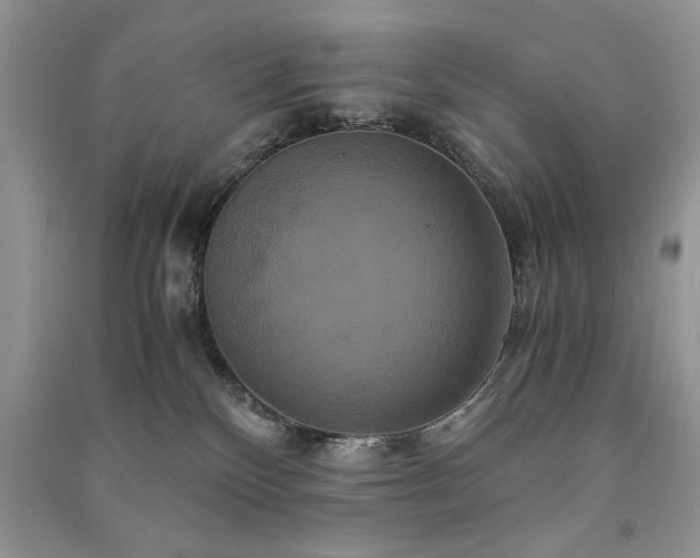 X0000091080136200708131306