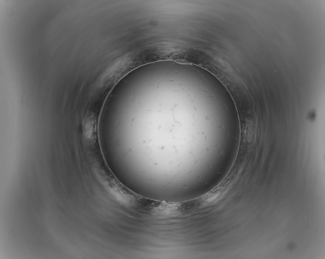 X0000091080138200708131305