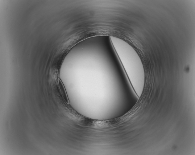 X0000091080141200708131305