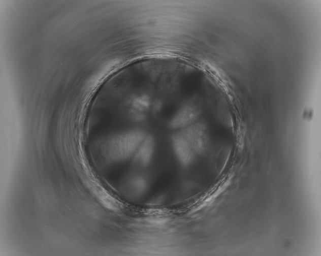 X0000091080145200708131305