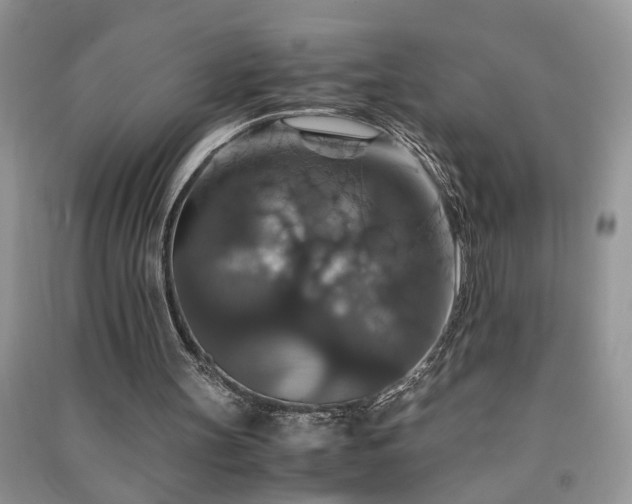 X0000091080147200708131305