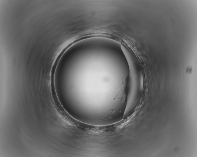 X0000091080148200708131305