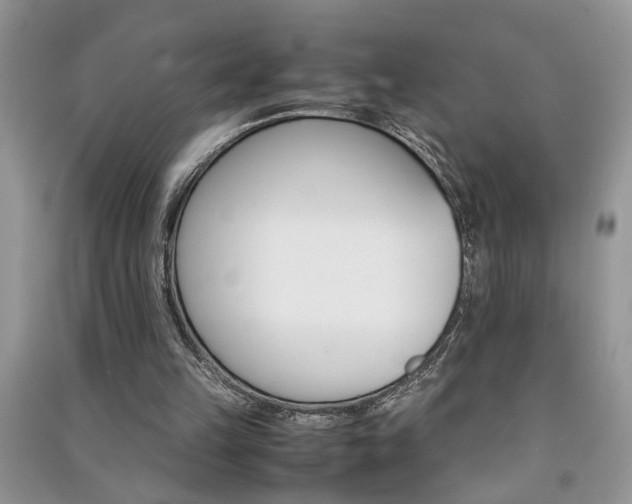 X0000091080149200708131305