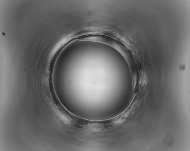 X0000091080150200708131305