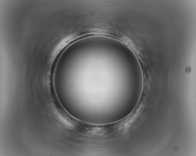 X0000091080151200708131305