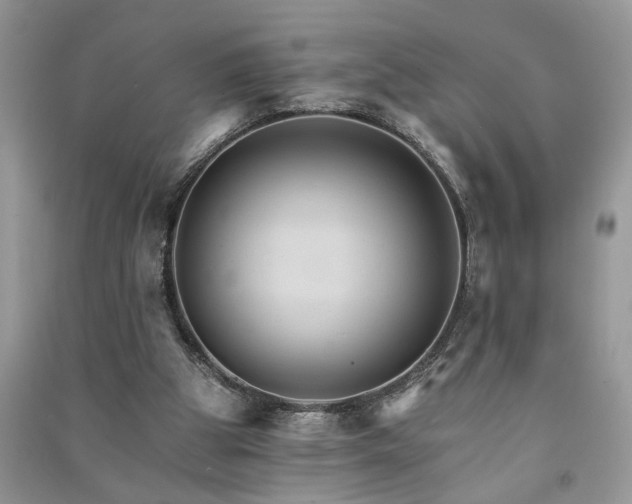 X0000091080153200708131305