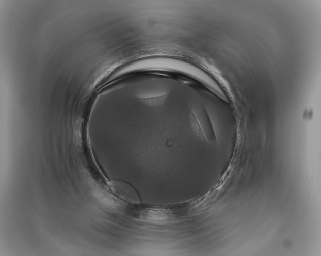 X0000091080154200708131305