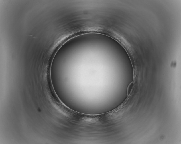 X0000091080155200708131305