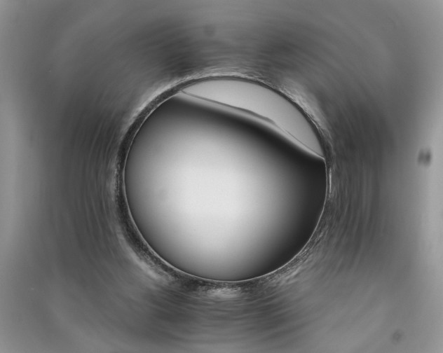 X0000091080156200708131305