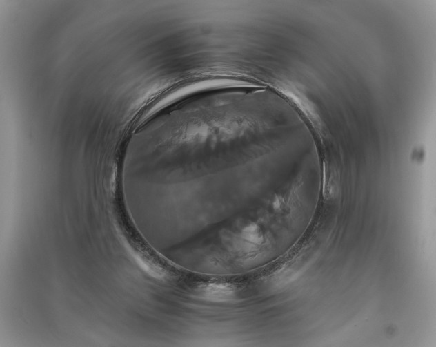 X0000091080157200708131305