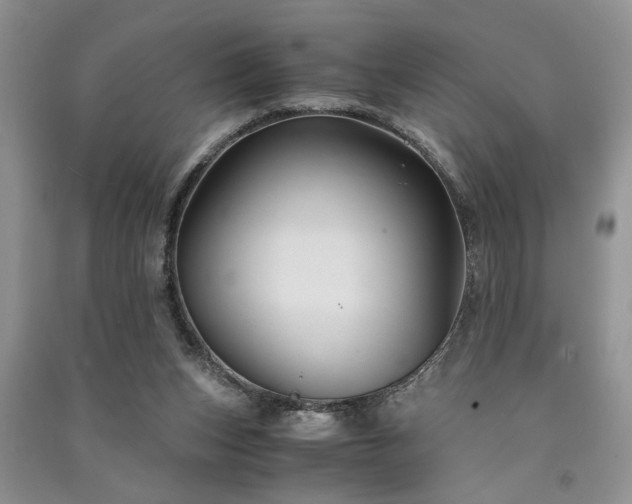 X0000091080159200708131305