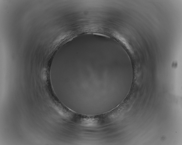 X0000091080161200708131305