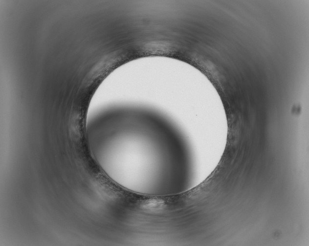 X0000091080162200708131305