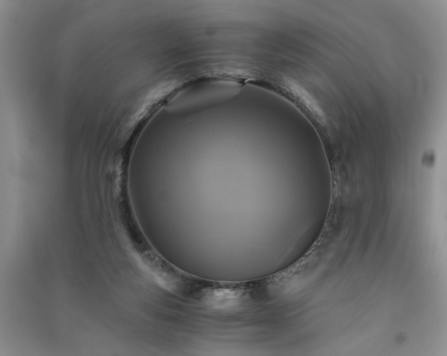 X0000091080163200708131305