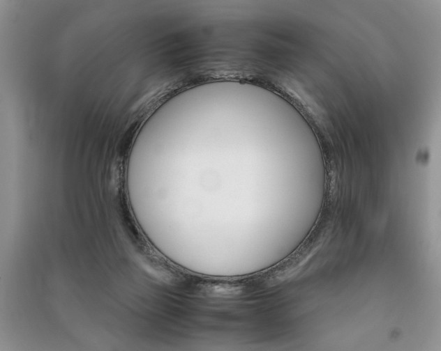 X0000091080165200708131305