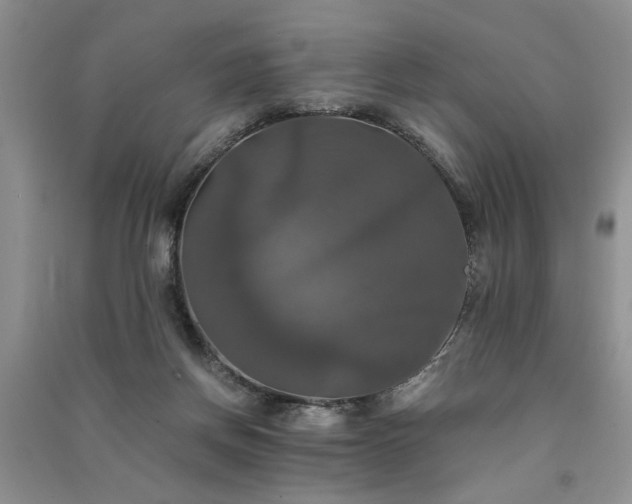 X0000091080166200708131305