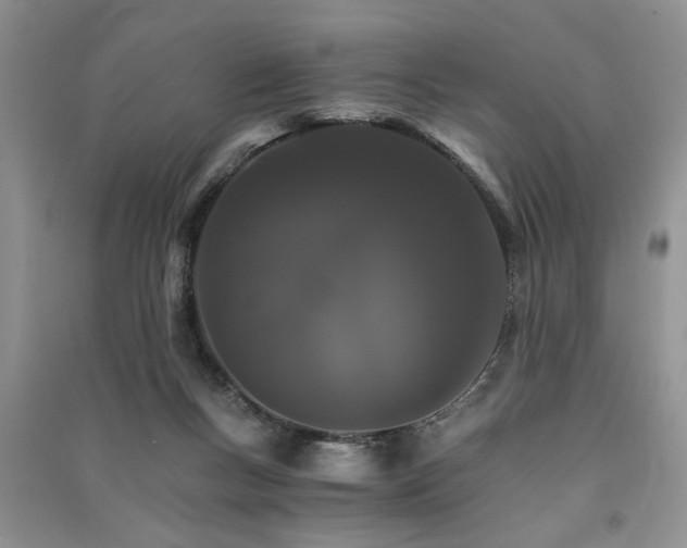 X0000091080167200708131305