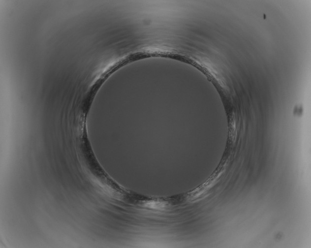 X0000091080168200708131305