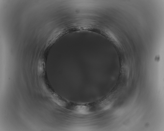 X0000091080169200708131305