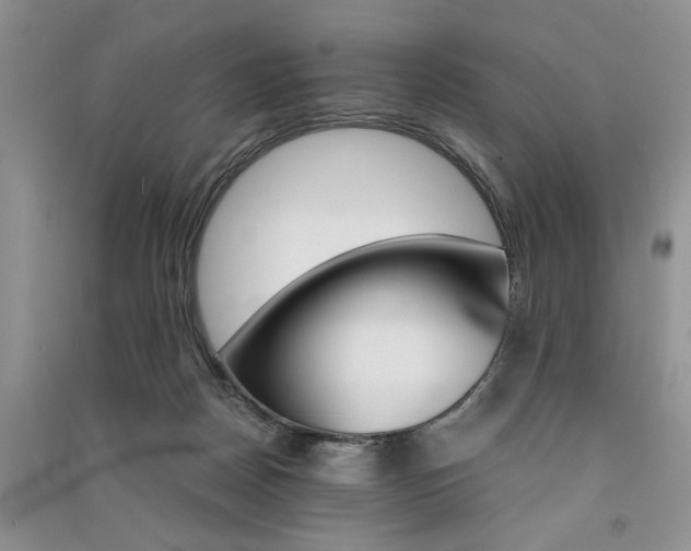 X0000091080170200708131305