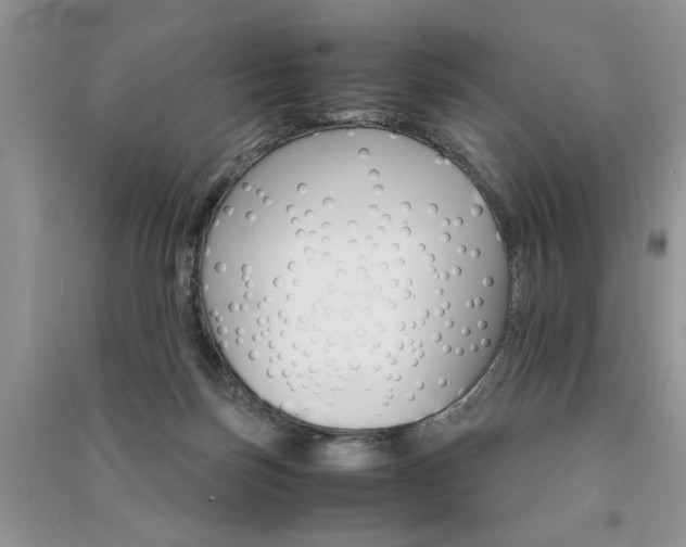 X0000091080171200708131305