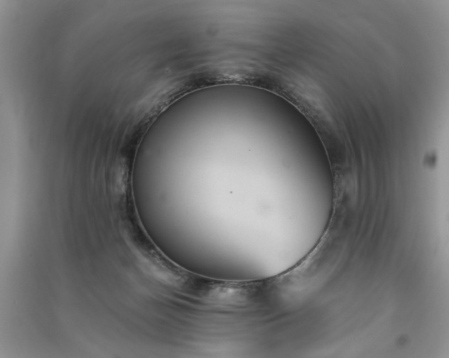 X0000091080174200708131305