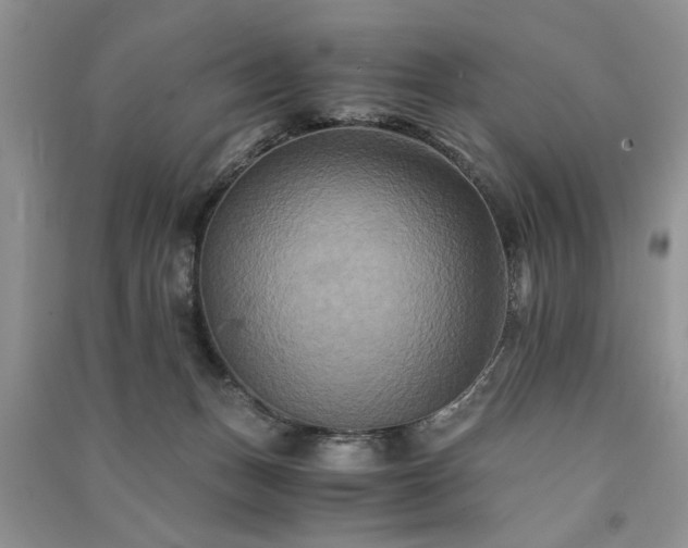 X0000091080175200708131305