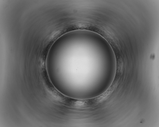 X0000091080176200708131305