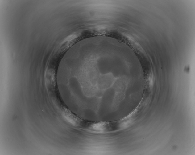 X0000091080178200708131305