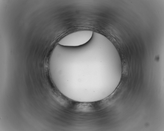 X0000091080179200708131305