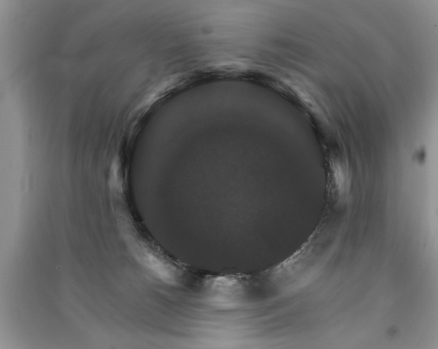 X0000091080180200708131305