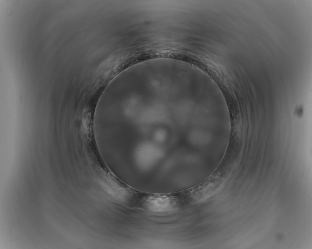 X0000091080181200708131305