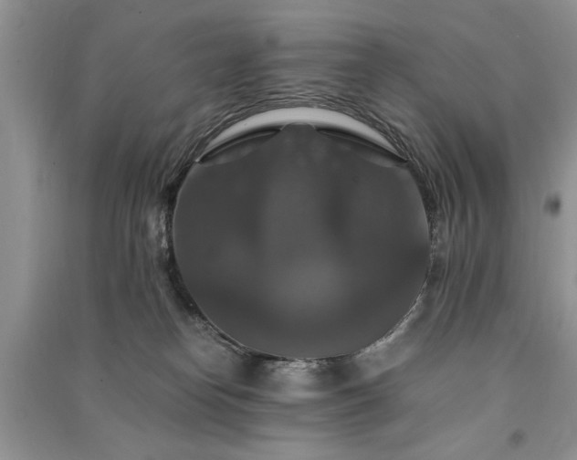 X0000091080182200708131305