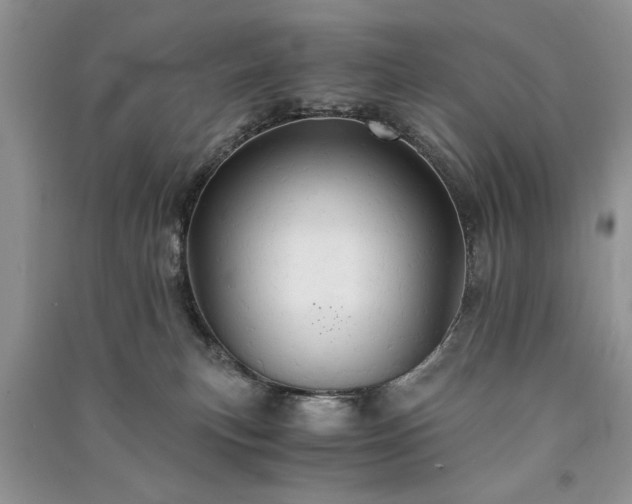 X0000091080183200708131305