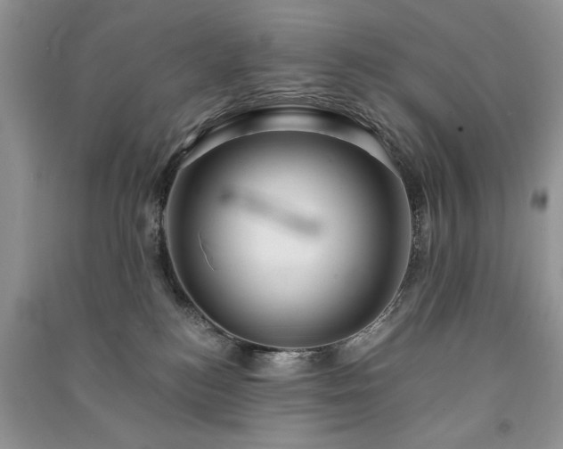 X0000091080184200708131305