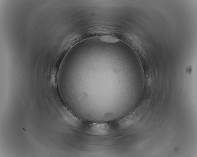 X0000091080185200708131305