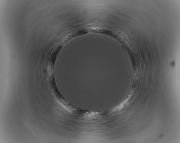 X0000091080186200708131305