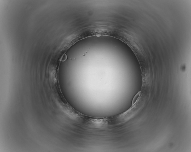 X0000091080187200708131305