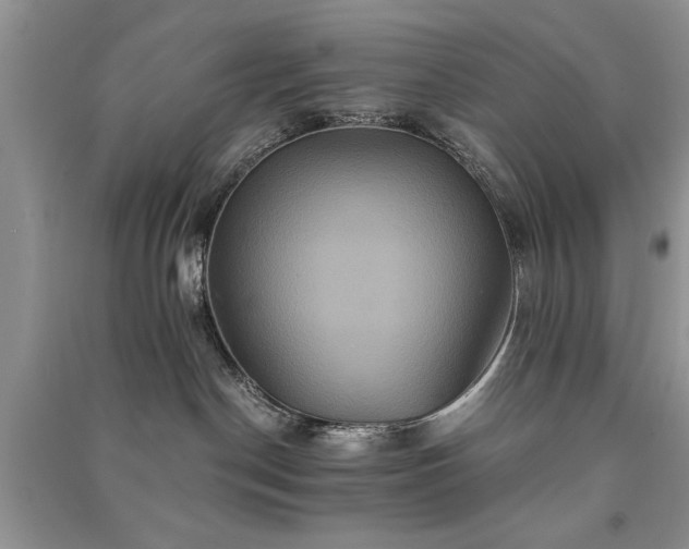 X0000091080190200708131305