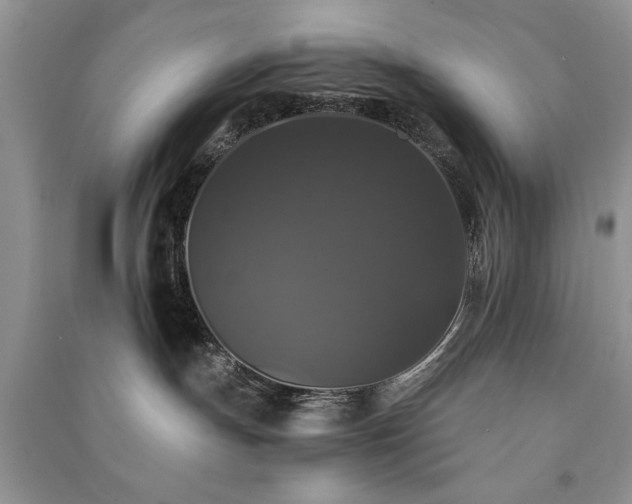 X0000091080191200708131305