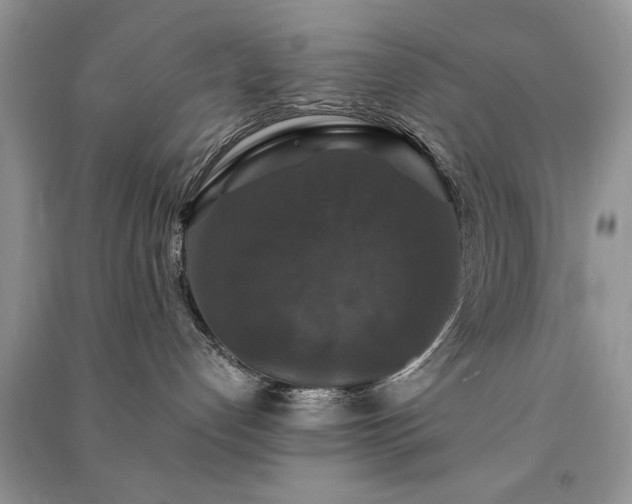 X0000091080192200708131305